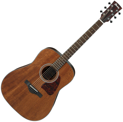 Ibanez Steel String Acoustic Guitar