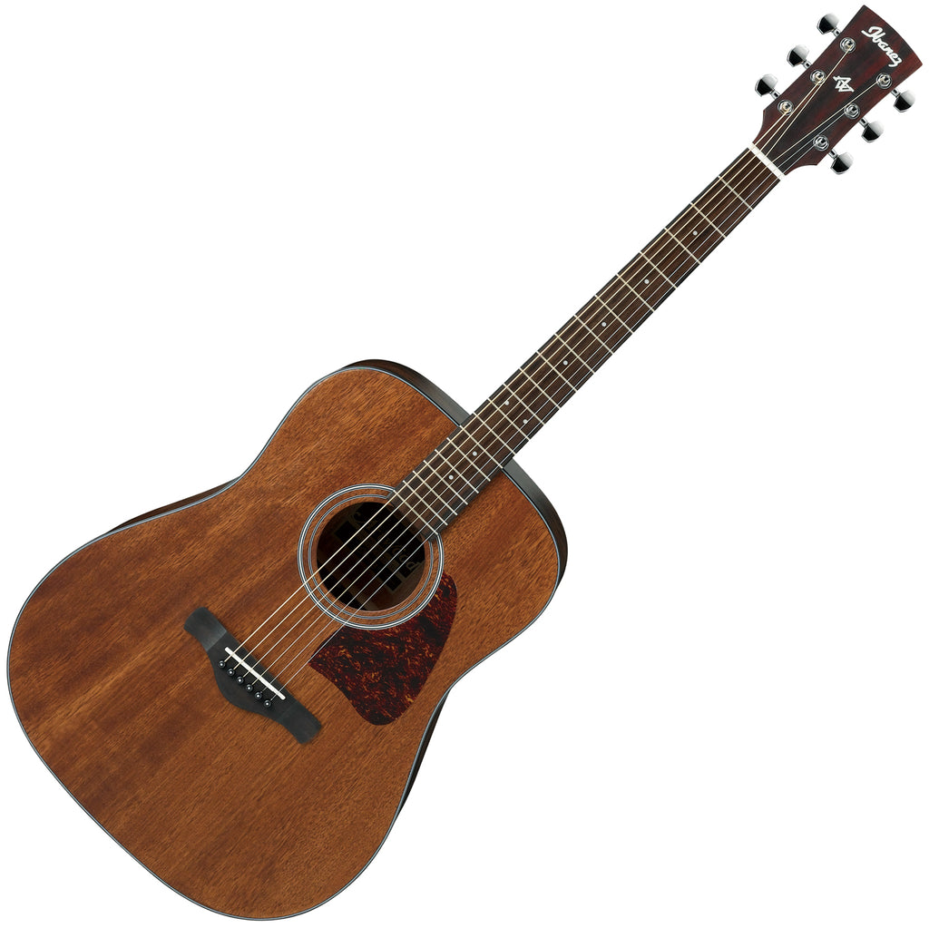 Ibanez Steel String Acoustic Guitar
